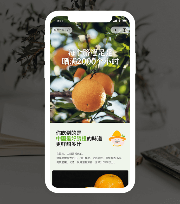 Z6尊龙·凯时(中国)官方网站